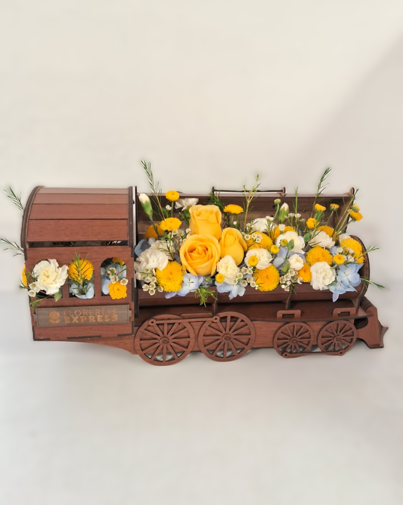 Tren 50 cm.