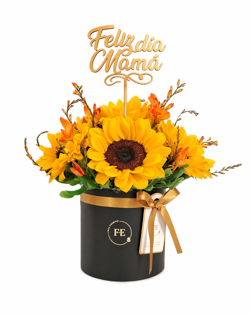 E1 - Box de Girasoles