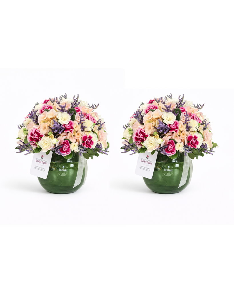 Pack de Peceras Rosa