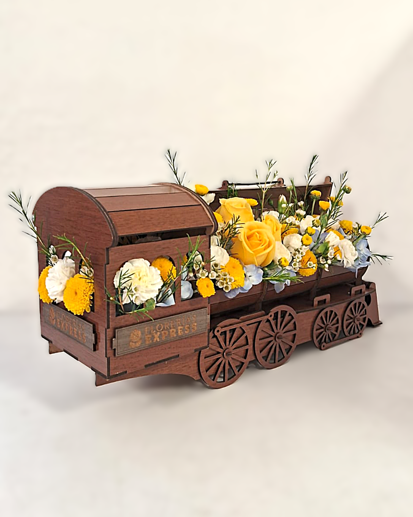 Tren 50 cm.