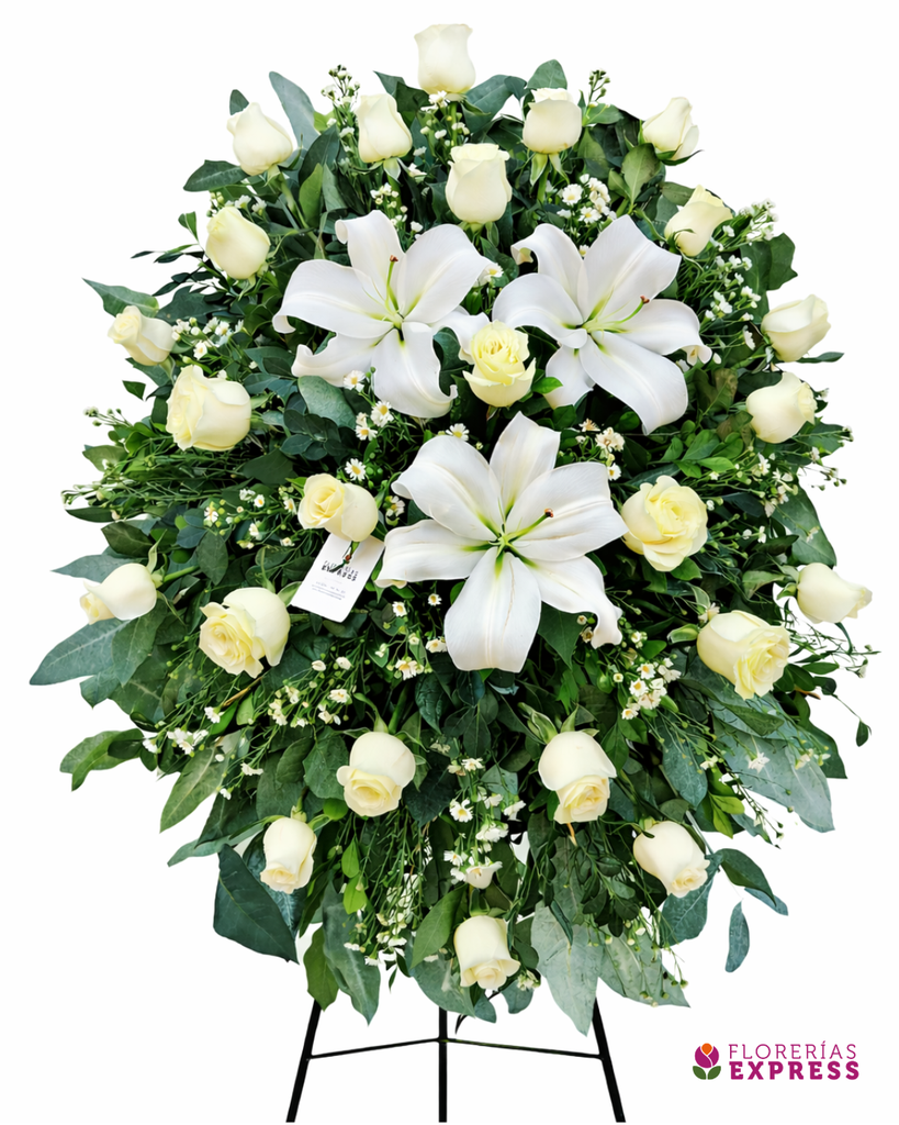 Lágrima parante 5. Alt. 1.50 mt