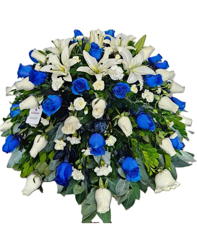 Manto Grande 4 - 360°