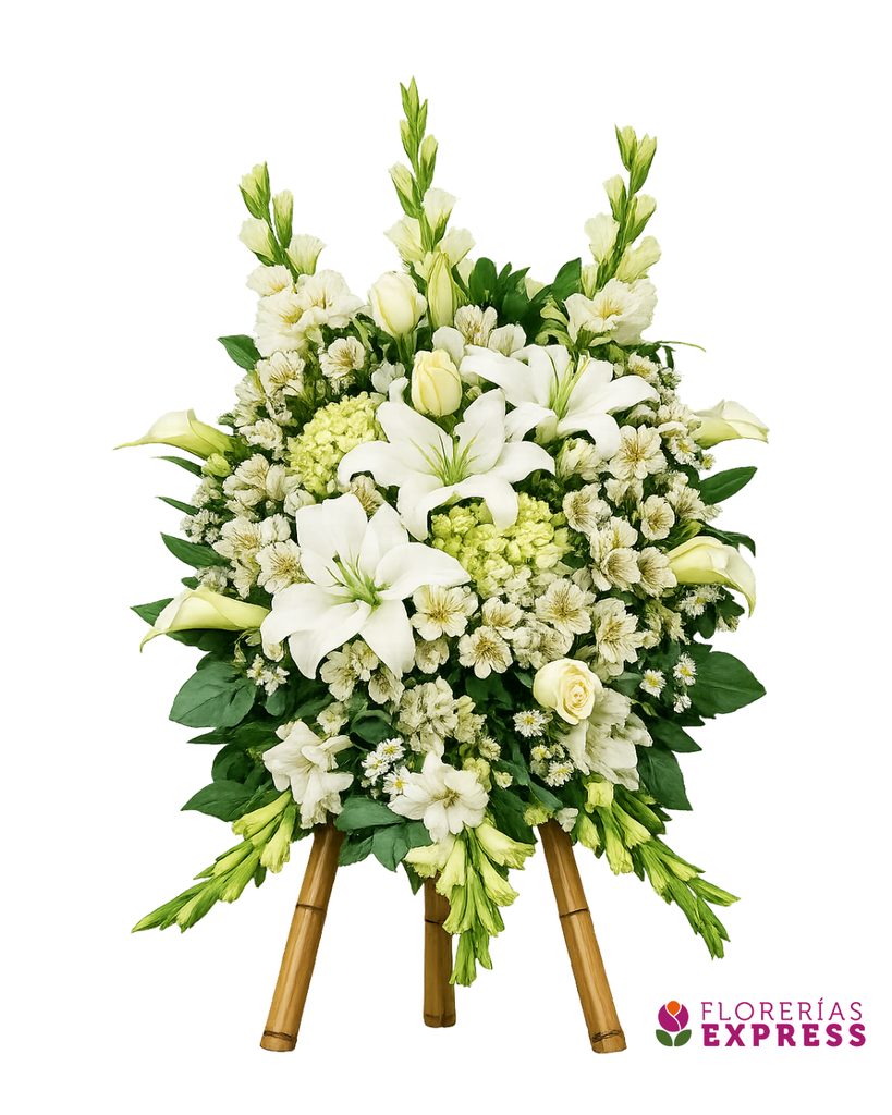 Lágrima con parante de caña - Alt 1.20 mt.