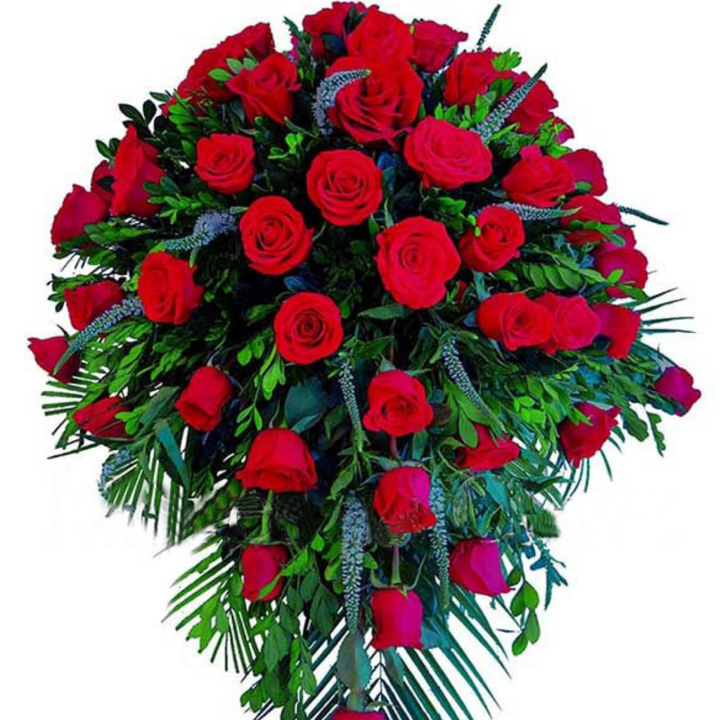 Manto Grande 3 - 360°