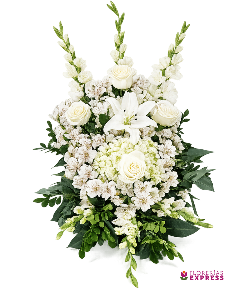 Lágrima base eco de piso