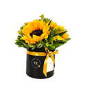 A3 - Box de Girasoles