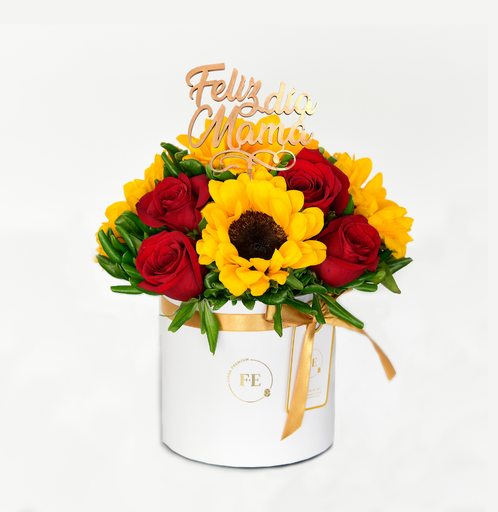 F2 - Box Estefanía