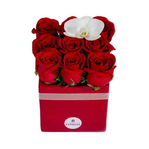 B3 - Cubo Love: Flor de orquídea + 9 rosas.