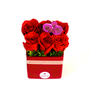 A2 - Cubo Coquette: 6 rosas + topper