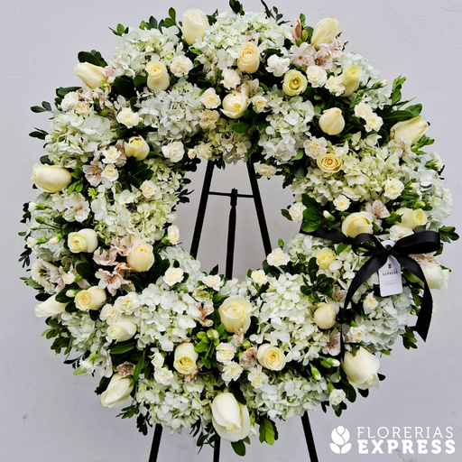 Corona grande 8 - 2.00 mt