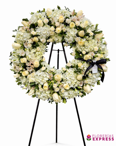 Corona grande 8 - 2.00 mt