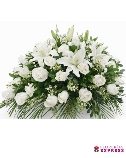 Manto mediano 1 - 360°