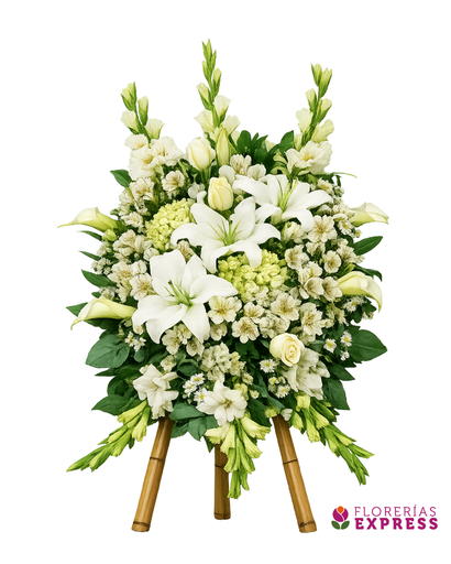 Lágrima con parante de caña - Alt 1.20 mt.