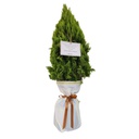 Árbol del Recuerdo