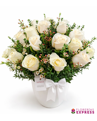 Bowl 36 Rosas Blancas