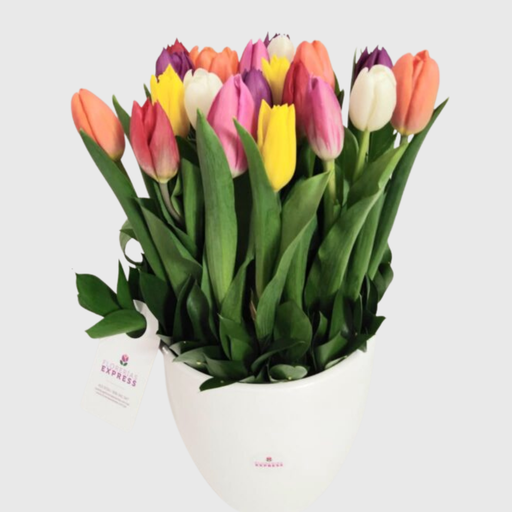 Bowl 20 Tulipanes